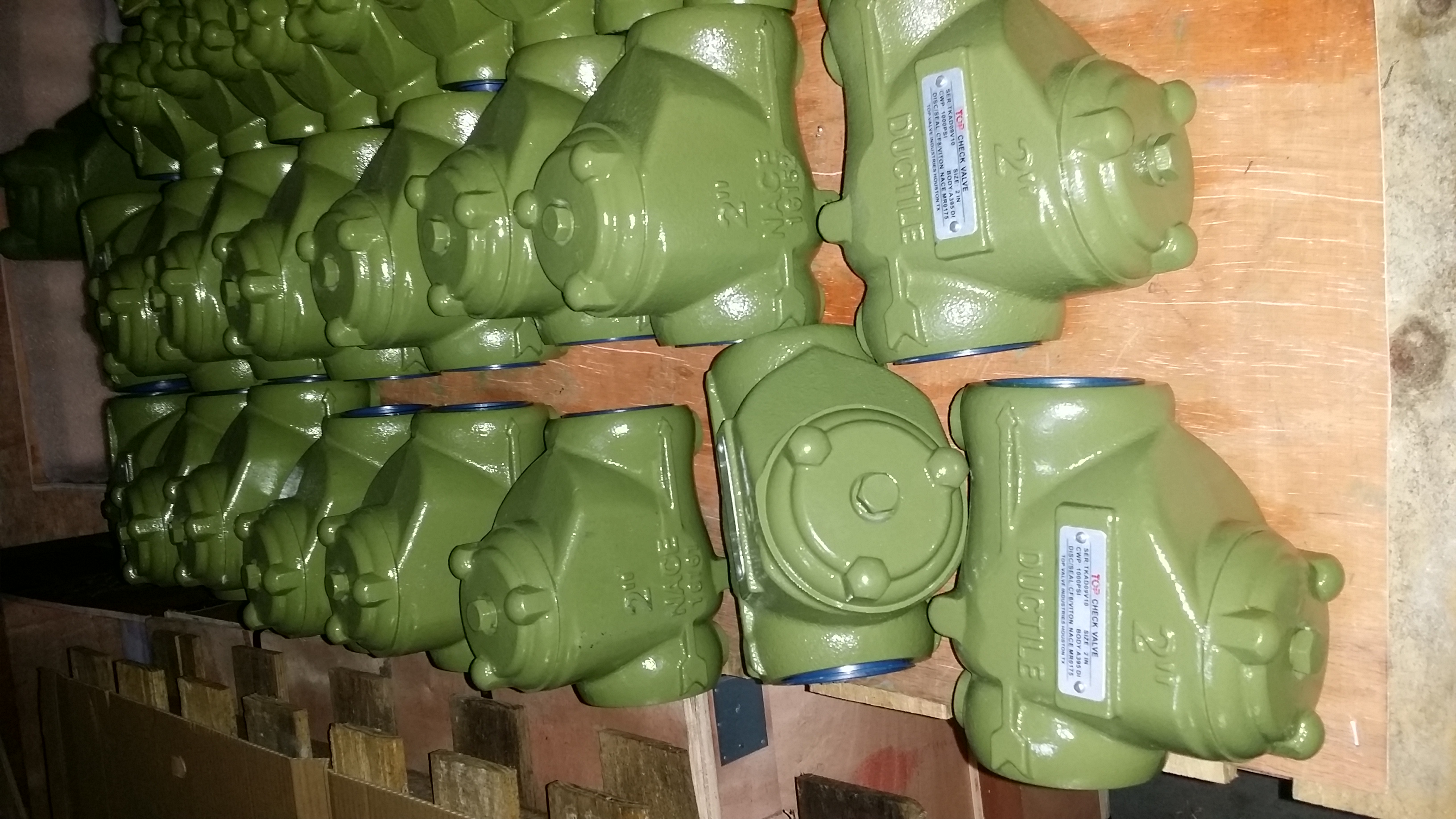 NPT Threaded Swing check valve 300 PSI