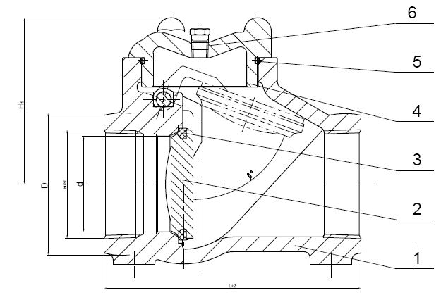NPT Threaded Swing check valve 300 PSI
