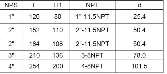 NPT Threaded Swing check valve 300 PSI