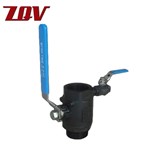 Isolator Floating Male andFemale NPT Ball Valves 2000PSI