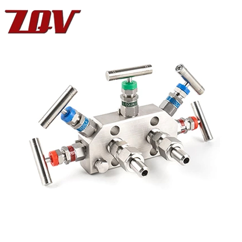 5 Valve Manifold