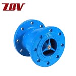 Axial Flow Check Valve