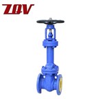 Bellow Sealed Gate Valve