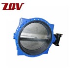 Butterfly Type Check Valve