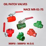 Carbon Steel threaded Check Valve 3000 PSI