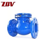 Cast Iron Check Valve