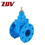 Cast Iron Gate Valve