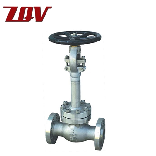 Cryogenic Globe Valve