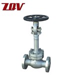 Cryogenic Globe Valve