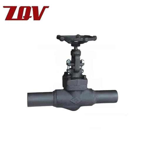 Extended Body Gate Valve