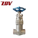 Forged Bellow Sealed Globe Valve