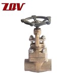 Forged Bronze Globe Valve