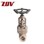 Forged Bronze Globe Valve