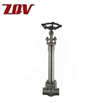 Forged Cryogenic Gate Valve