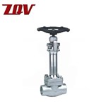 Forged Cryogenic Gate Valve