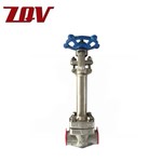Forged Cryogenic Gate Valve
