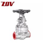Forged Stainless Steel Gate Valve