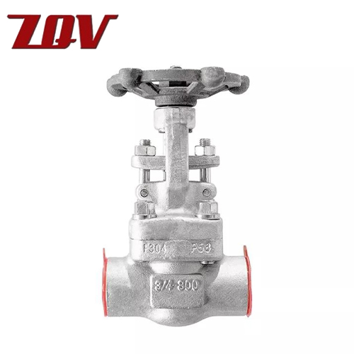 Forged Stainless Steel Gate Valve