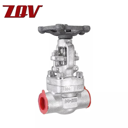 Forged Stainless Steel Gate Valve