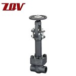 Forged Steel Cryogenic Globe Valve