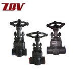 Forged Steel Gate Valve