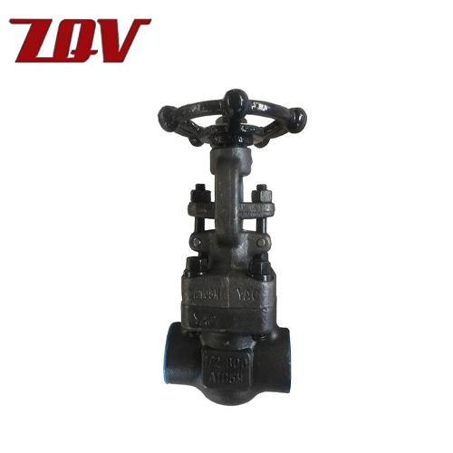 Forged Steel Gate Valve