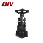 Forged Steel Gate Valve