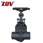 Forged Steel Globe Valve