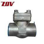 Forged Swing Check Valve